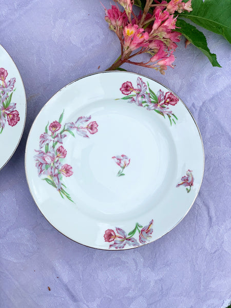 Assiettes creuses en porcelaine, décor fleurs polychrome